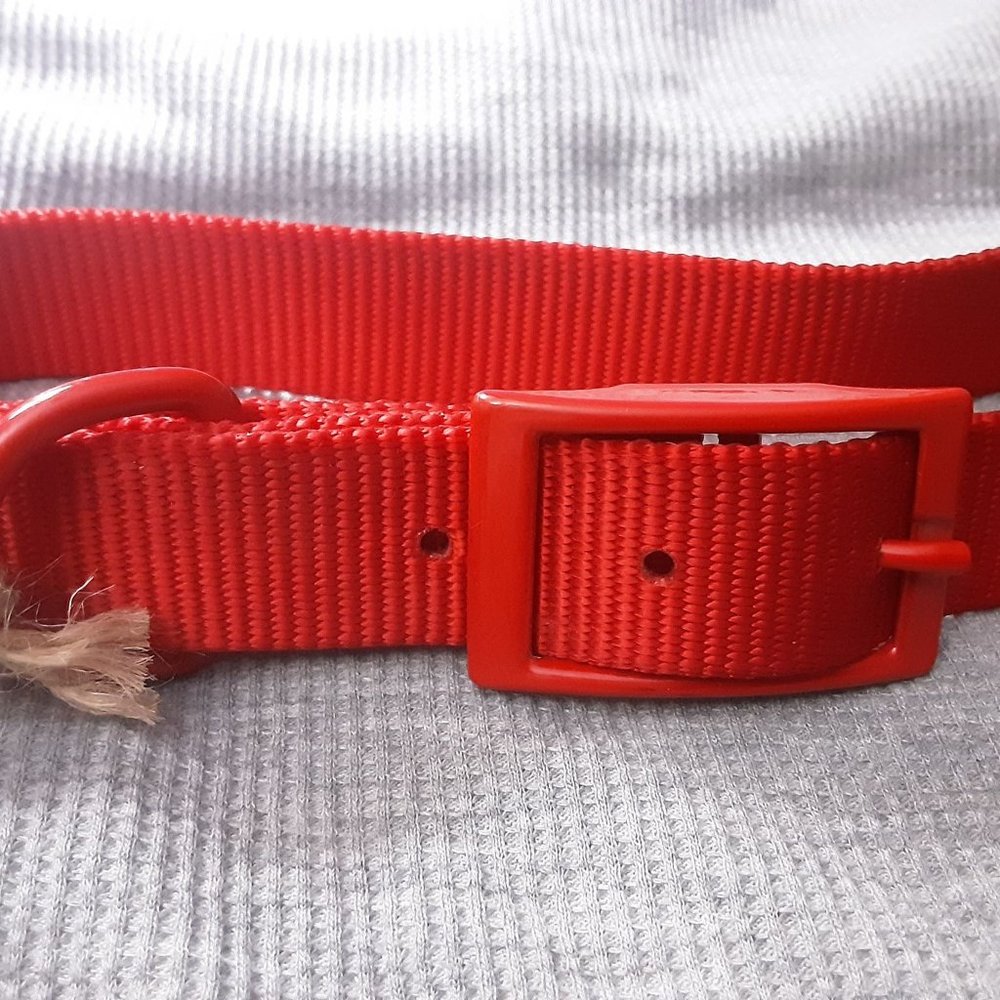 21" - 24" red dog collar